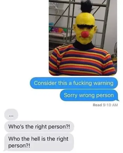 Screenshot of a direct message conversation. Person A: Picture of a weird looking cosplay of Bert from Sesame Street "consider this a fucking warning" "Sorry wrong person". Person B: "..." "Who's the right person?!" "Who the hell is the right person?!"